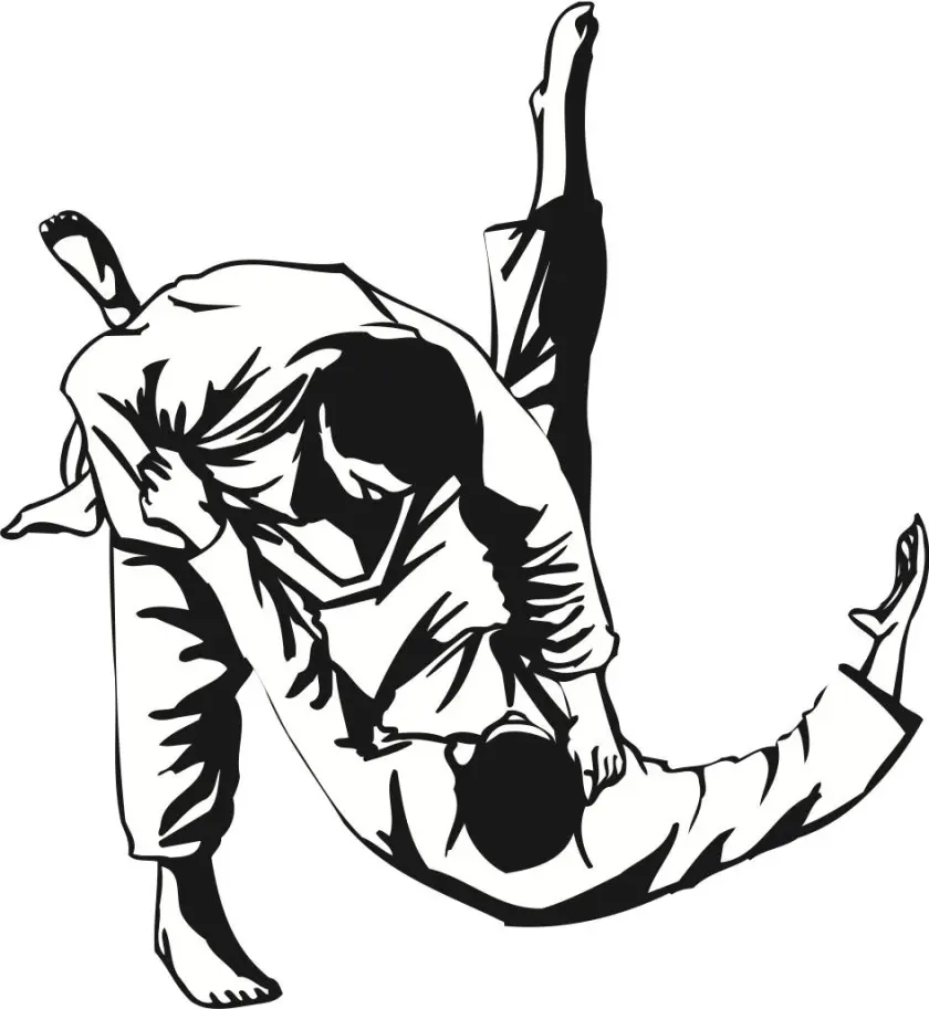 judo throw small